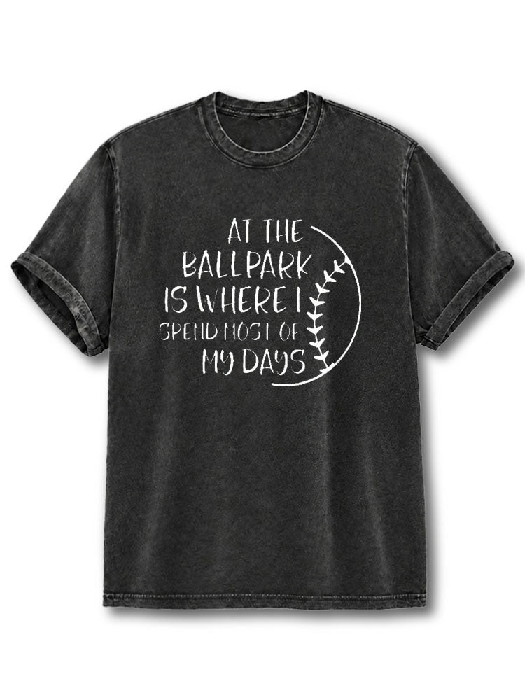 At The Ballpark Washed T-Shirt