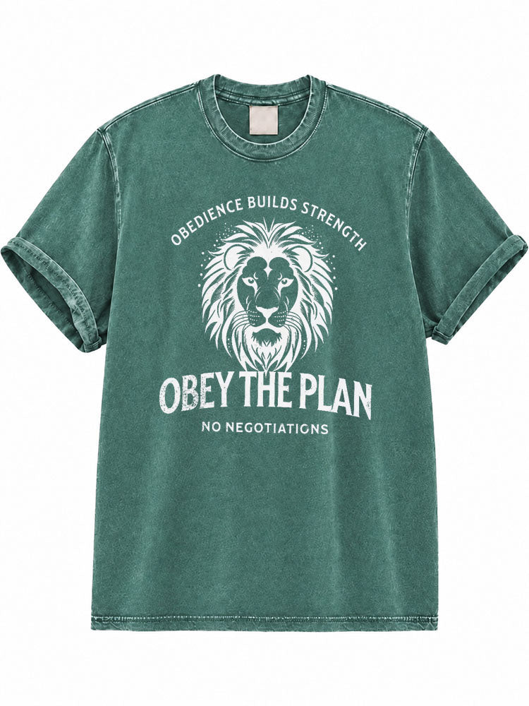 Obey The Plan Washed T-Shirt