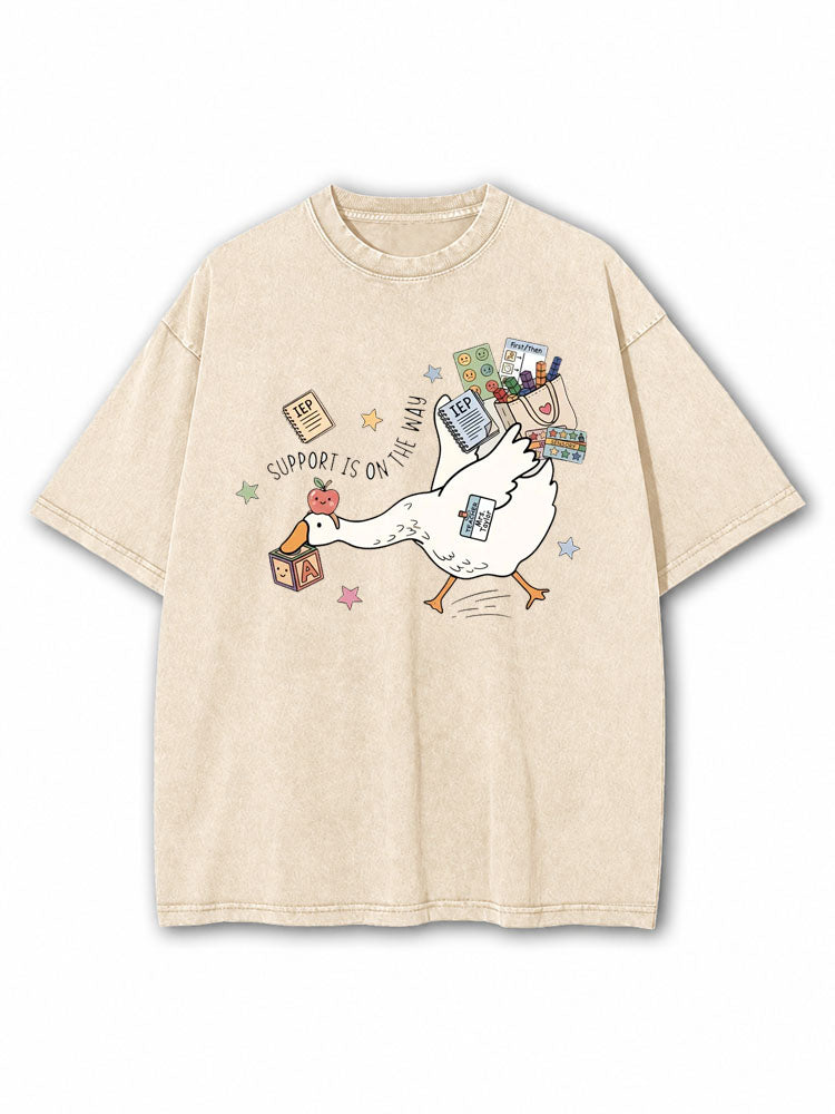 Silly Goose Special Education Washed T-Shirt