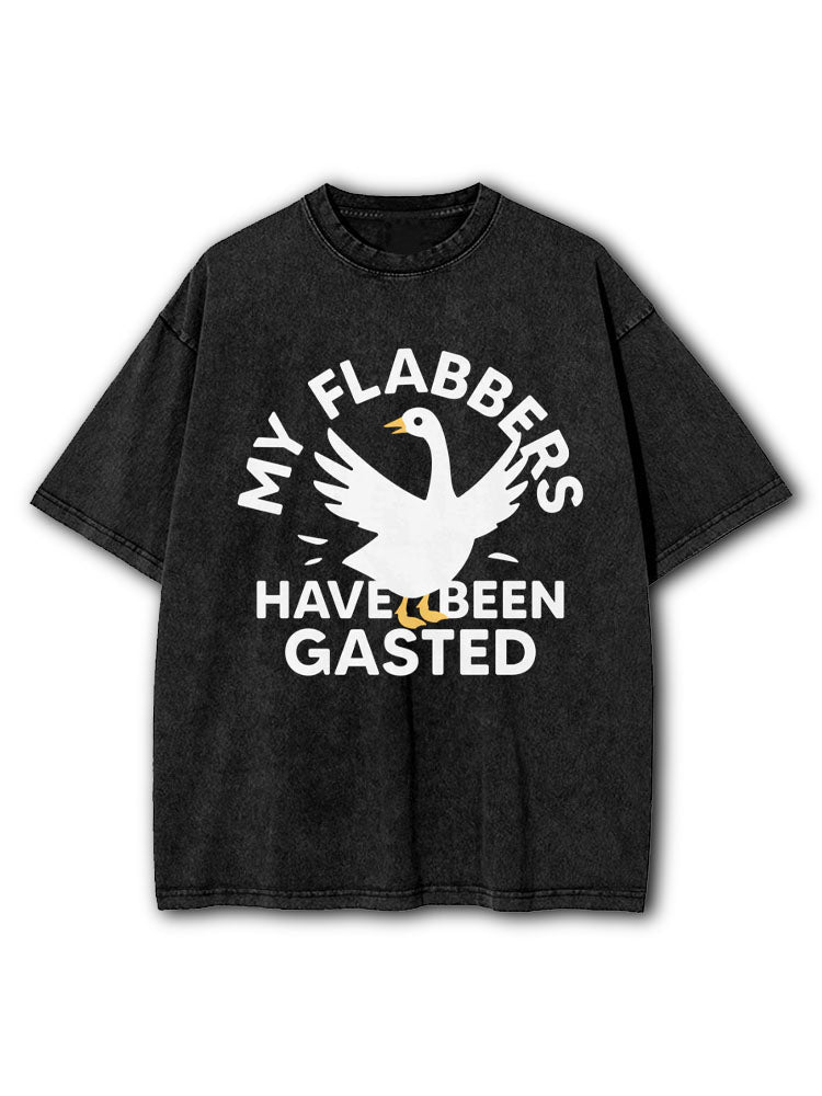My Flabbers Have Been Gasted Washed T-Shirt