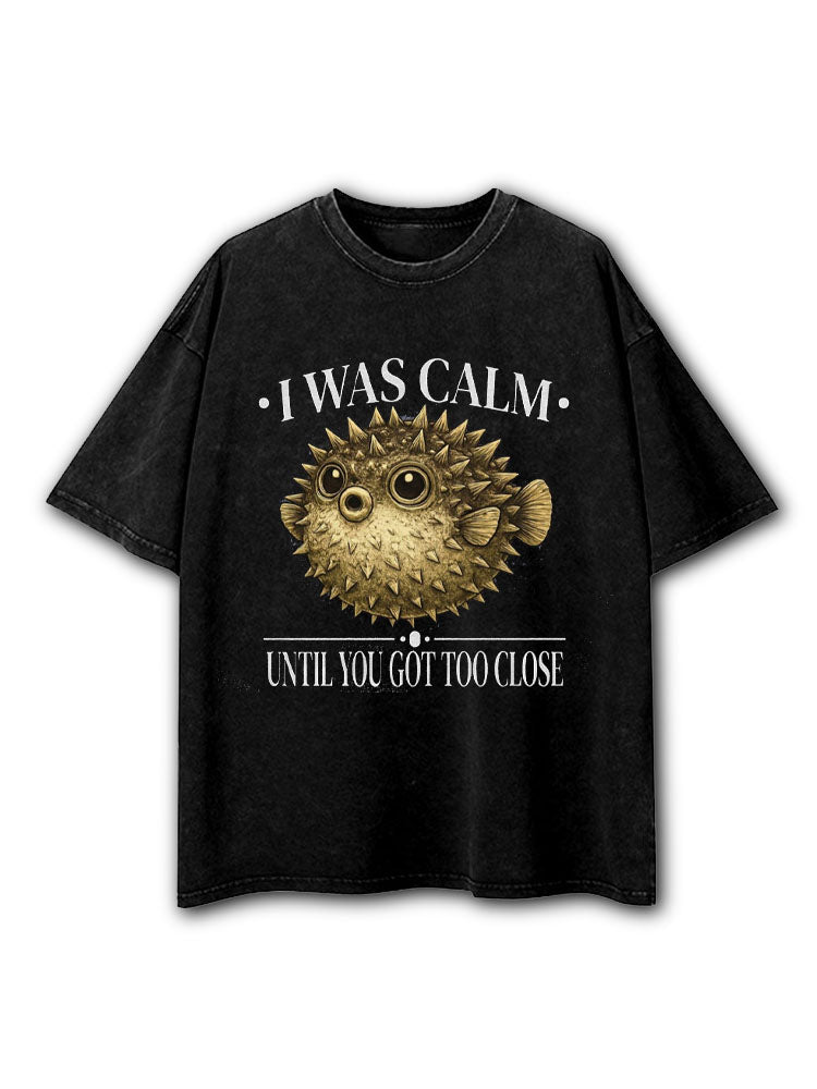 I Was Calm Until You Got Too Close Washed T-Shirt
