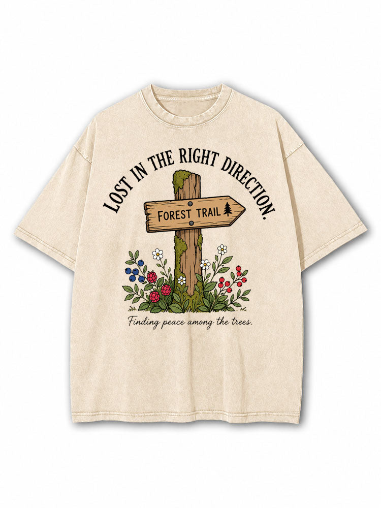 Lost In The Right Direction Washed T-Shirt