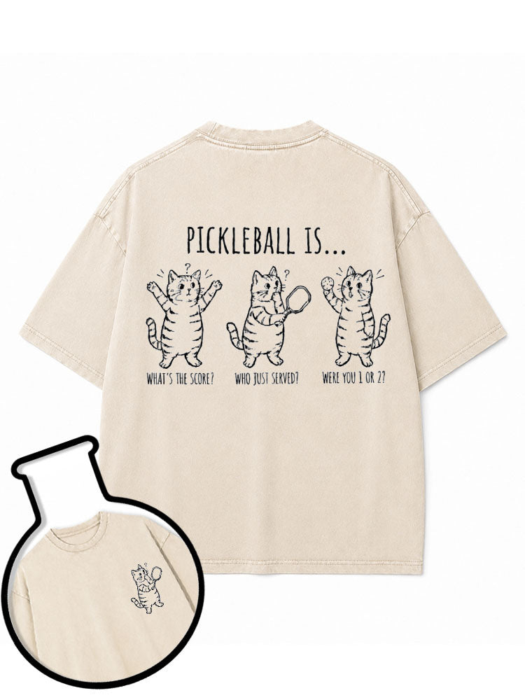 PICKLEBALL IS Washed T-Shirt