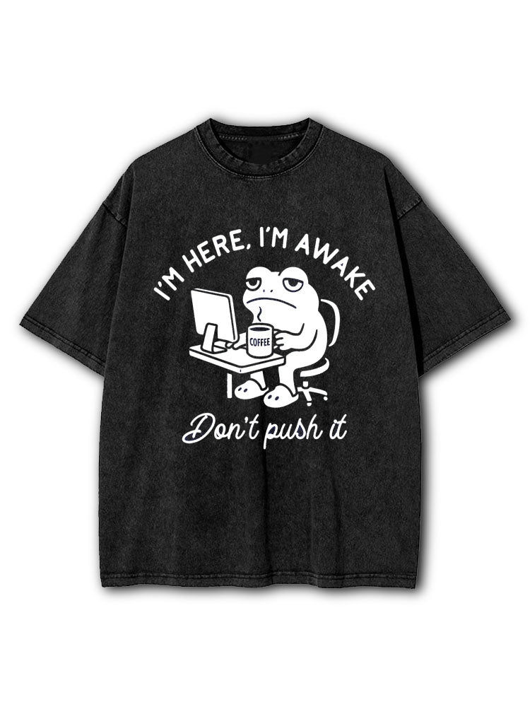 I’m Here I’m Awake Don’t Push It Washed T-Shirt