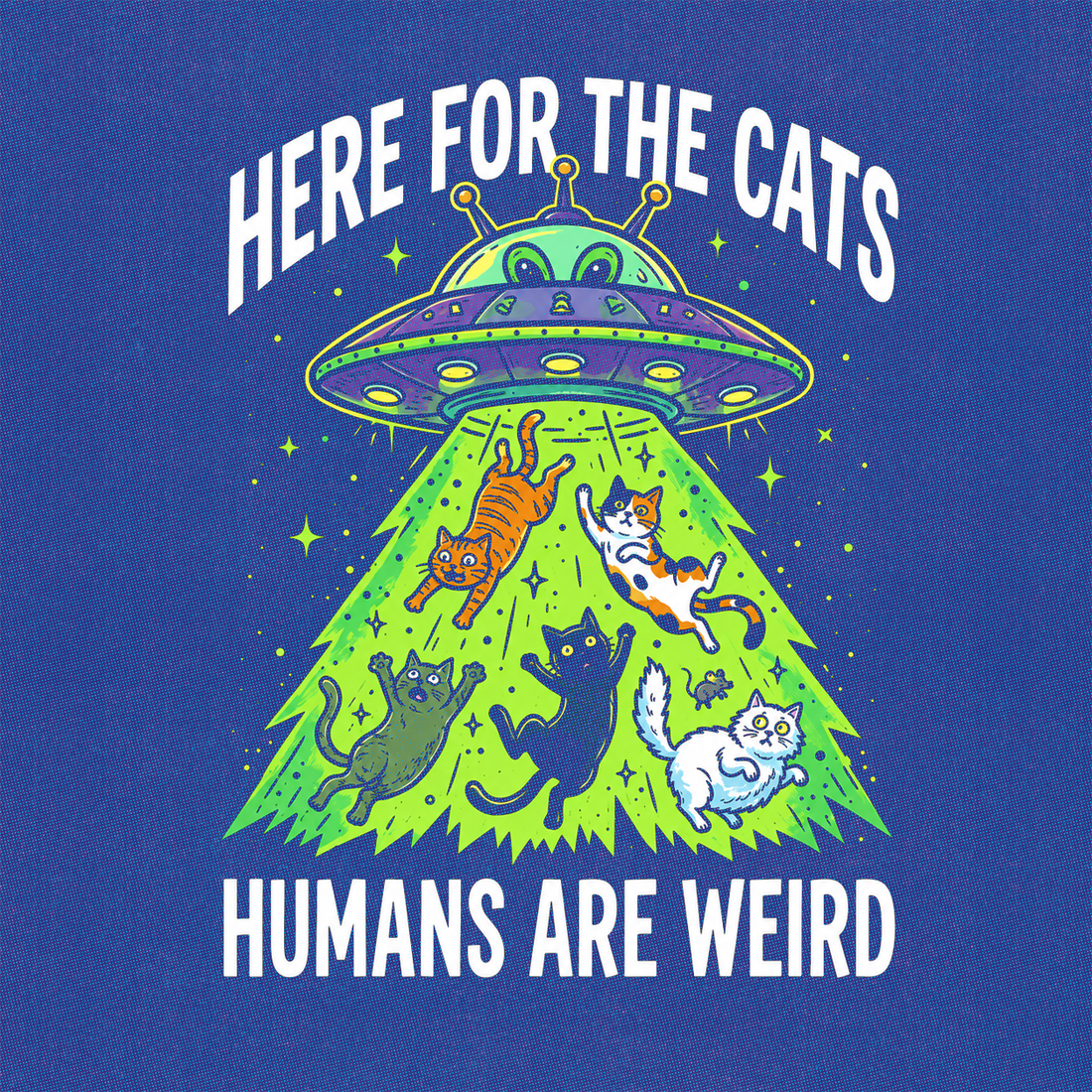 <a href="https://www.funnyteelab.com/collections/pets" title="https://www.funnyteelab.com/collections/pets">Pets</a>
