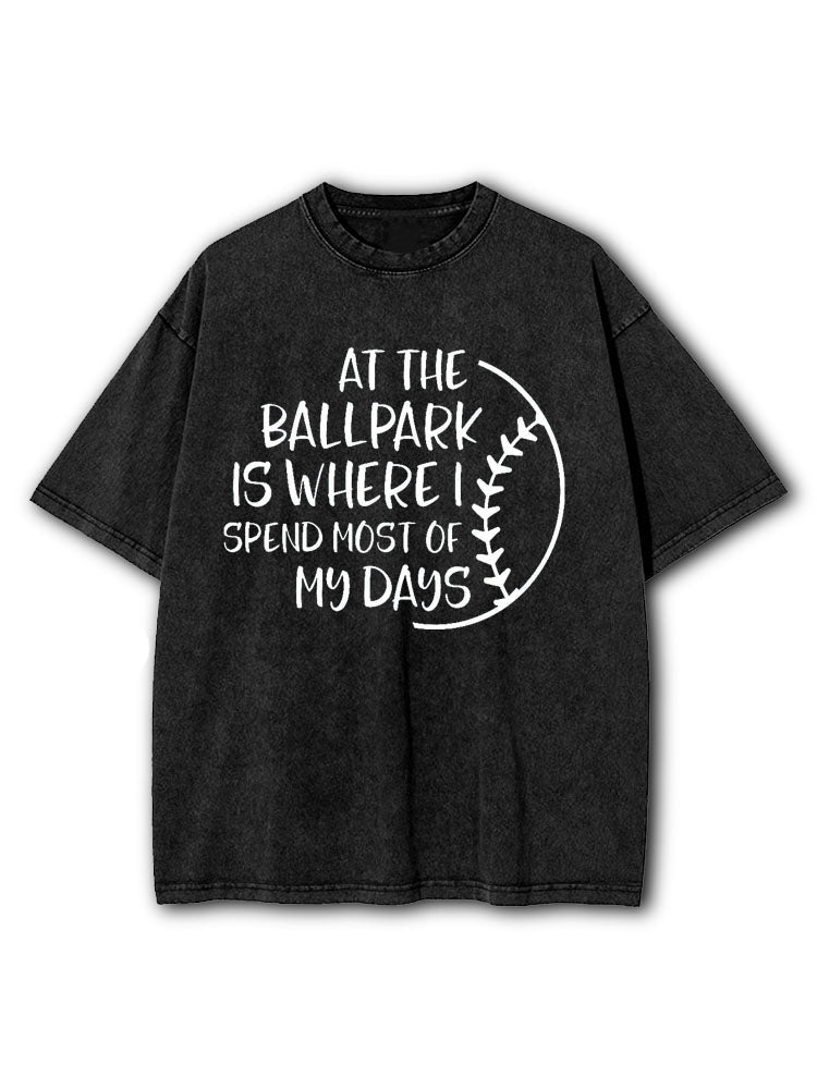 At The Ballpark Washed T-Shirt