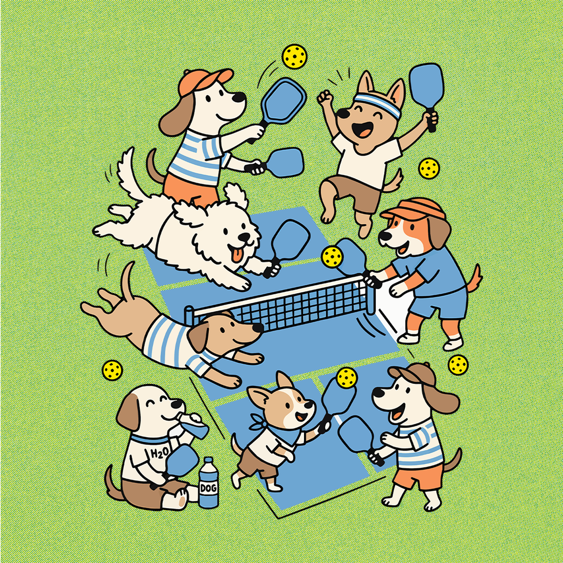<a href="https://www.funnyteelab.com/collections/pickleball" title="https://www.funnyteelab.com/collections/pickleball">Pickleball</a>